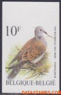 België 1998 - Mi:2833, Yv:2782, OBP:2783, Stamp - □ - Birds Turtledove - 1981-2000