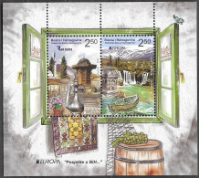 Bosna Bosnia Bosnien (Sarajevo) 2012 Europa Cept Visit Michel Bl. 45 (589-90) MNH ** Postfrisch Neuf - 2012