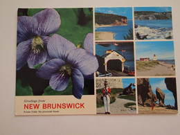 CPA Canada New Brunswick Purple Violet Provincial Flower - Sonstige & Ohne Zuordnung