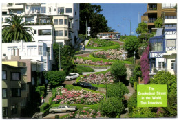 San Francisco - Colorful Hydrangeas Line Lombard Street - The Crookedest Street In The World - San Francisco