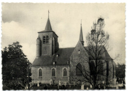 St-Pieters-Leeuw - Kerk - Sint-Pieters-Leeuw