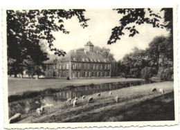 Ecaussinnes D'Enghien - Château De La Follie - Vue De La Façade Postérieure Et Du Parc Baigné Par La Sennette - Ecaussinnes