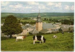 Lierneux - Panorama - Lierneux