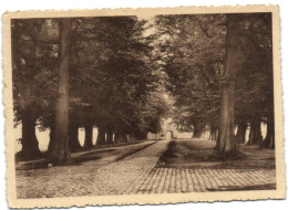 Abbaye Norbertine De Tongerloo - Westerlo