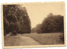 Lovenjoul - Petit Château - Bierbeek