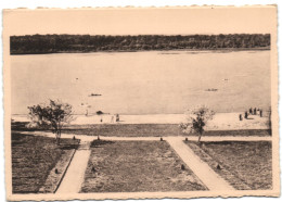 Lac De Virelles - Vue Sur Le Lac - Chimay