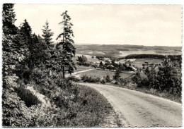 St. Vith - Les Environs - Sankt Vith