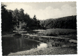 Cugnon S/Semois - Passerelle Du Gué Latour - Bertrix