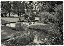 Carlsbourg - Etablissement St-Joseph - Le Parc Et Les Cygnes - Paliseul