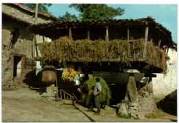 Horreo Asturiano - Asturias (Oviedo)