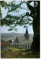 Roly - L'Eglise Et Le Vieux Pin - Environs De Mariebourg - Philippeville