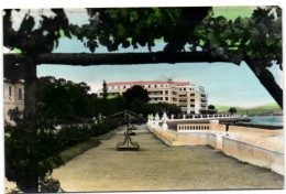 La Toja - Detalle Del Parque V Gran Hotel Al Fondo - Pontevedra