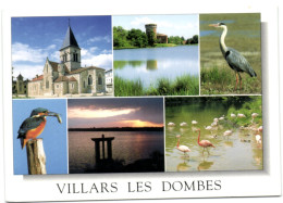 Villars Les Dombes - L'Elgise - La Tour -Paysage Et Animaux Des Dombes - Villars-les-Dombes