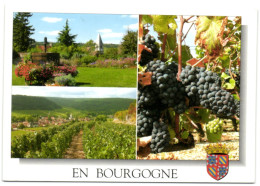 En Bourgogne - Bourgogne