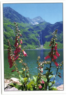 Pyrénées - Le Lac D'oo Et La Cascade Haute - Ossun