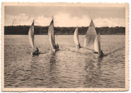 Lac De Virelles - Chimay - Course De Voilliers - Chimay