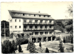 Amonines - Hostellerie Du Vieux Moulin - Erezée