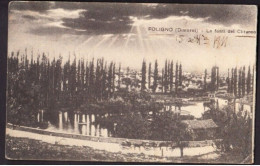 FOLIGNO - LE FONTI DI CLITUNNO - F.P. - STORIA POSTALE - Foligno