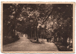 Virelles - Lac De Virelles - Sous-bois - Pavillon Tallien - Chimay