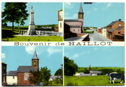Souvenir De Haillot - Ohey