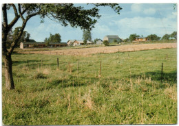 Matagne La Petite - Un Coin Du Village - Doische