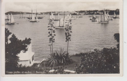 CPA Bermuda - Ocean Yachts At Anchor - Bermuda