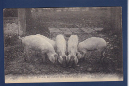 CPA 1 Euro Animaux Cochon Pig Prix De Départ 1 Euro écrite - Schweine