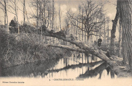 23-3658 : ARBRE. TROGNE ARBRE PENCHE SUR LA RIVIERE. CHATELLERAULT. VIENNE - Arbres