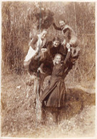 23-3673 :  ARBRE REMARQUABLE. TROGNE. ENFANTS GRIMPES DANS LE COEUR DE L'ARBRE. PHOTO 8.5 CM X 5.5 CM - Arbres