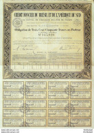 Crédit Foncier D'Amérique Du Sud Obligation 250 Fr Brésil 1929 - Banque & Assurance