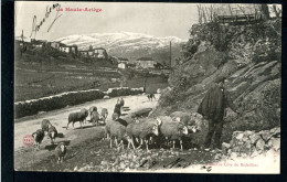 09 PRES DE TARASCON - ANCIENNE COTE DE BEDEILHAC - LA TRANSHUMANCE - Autres & Non Classés