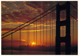 San Francisco - Le Golden Gate Brigde, La Nuit - San Francisco