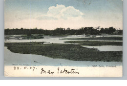 TRINIDAD - Pitch Lake, 1905 - Trinidad