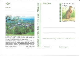 2355l: Österreich 1994, Margreiter: Bildpostkarte 4722 Peuerbach, Motiv Gotik, Barock, Schwanthaler, ** - Grieskirchen