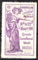 VV-145 1914 Brussel Tentoonstelling Musique Vignette MH* - Sonstige & Ohne Zuordnung