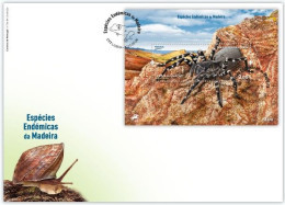 Portugal & FDCB Azores Terrestrial Fauna, Azores Wolf Spider  2023 (97993) - Arañas