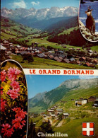 LE GRAND BORNAND       ( HAUTE- SAVOIE )  ET LE CHINAILLON - Le Grand Bornand