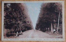 59 : Solre-le-Château - Environs Du Sanatorium De Liessies - Sous-bois Du Chêne Marie - Animée - (n°28174) - Solre Le Chateau