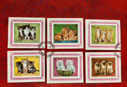 SHARJAH 1972 6v Imperforate Mi 1288 / 1291 Gato Cat Pet Katze Gatto - Chats Domestiques