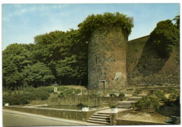 Gembloux - Tour De Sarrasins Et Monument Au Roi Albert (rue Du Moulin) - Gembloux