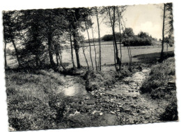 Erezée - Confluant De L'Estinale Et Du Hamblery Au I Rangeleux - Erezee