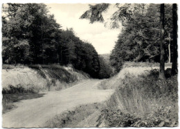 Environs De Habay-la-Neuve - Forêt D'Anlier Les Croisades - Habay