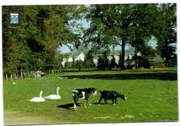 Essen - Zicht In Het Gemeentepark - Essen