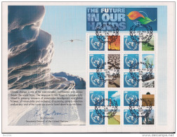 2007 UNO NEW YORK - GRUSSMARKEN BOGEN Scott No. 939 Used  " The Future In Our Hands " - Blocks & Sheetlets