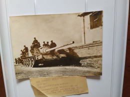 Guerre De Suez Les Parachutistes Anglais Sur Un Tank Russe  Capturé Aux Egyptien à Port Said    (10/ 11/ 1956 ) - Vehicles