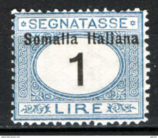 Somalia 1926 Segnatasse Sass.S48 */MH VF/F - Somalia