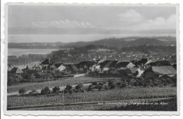 Suisse )    CORMONDRECHE  -  Vue Générale Et Les Alpes - Cormondrèche