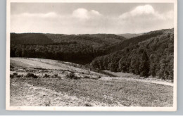 5248 WISSEN - KATZWINKEL - ELKHAUSEN, Blick Von Erholungsheim Haus Marienberge - Altenkirchen