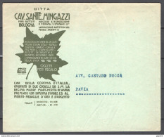 Italia Regno Busta Pubblicitaria Ferri Battuti Mingazzi Bologna VF/F - Publicidad