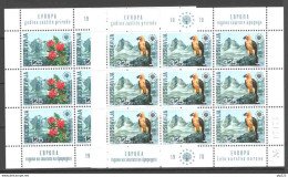 Jugoslavia 1970 Unif.1291/92 Minif.di 9 **/MNH VF - Hojas Y Bloques